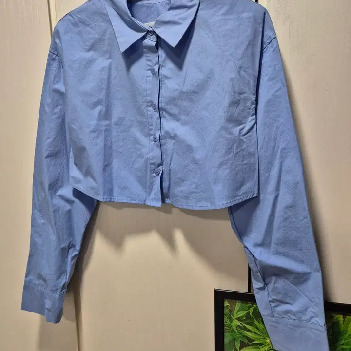 [BUNJANG] DINT Cropped Shirt (Sky Blue) / (3시간.타임세일)(새상품)DINT 딘트 소라색 크롭 셔츠