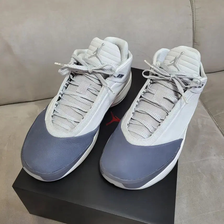 [BUNJANG] Nike Air Jordan 40 Dust Flint Grey / 나이키 조던 40 더스트 플린트 그레이 270 / (265, 260)
