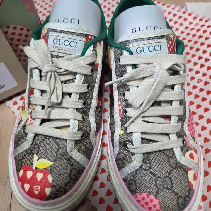 [BUNJANG] Gucci Tennis 1977 GG Apple Print Sneakers / 구찌 테니스 1977 GG 애플 스니커즈