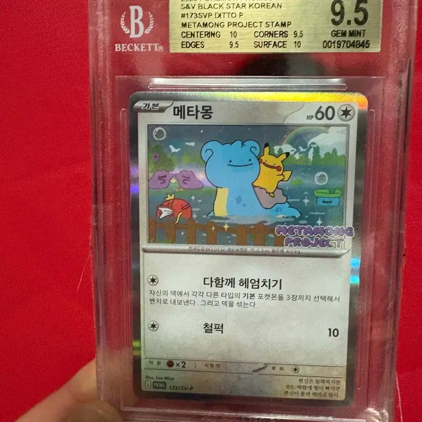 [BUNJANG] Pokemon Jamsil Ditto BGS 9.5 Graded Card / 포켓몬 잠실 메타몽  메타몽 카드 bgs 9.5