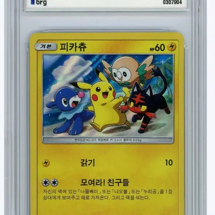 [BUNJANG] Pokémon TCG Pikachu Promo Card SM-P / 모여라 피카츄 SM-P 프로모 카드