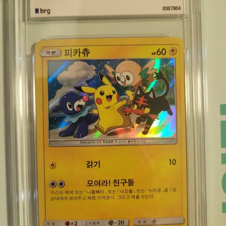 [BUNJANG] Pokémon TCG Pikachu Promo Card SM-P / 모여라 피카츄 SM-P 프로모 카드