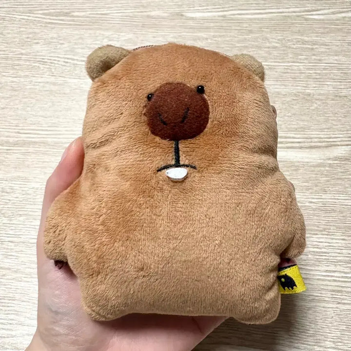 [BUNJANG] Coin Pouch with Keyring and Photocard Holder / 동전지갑