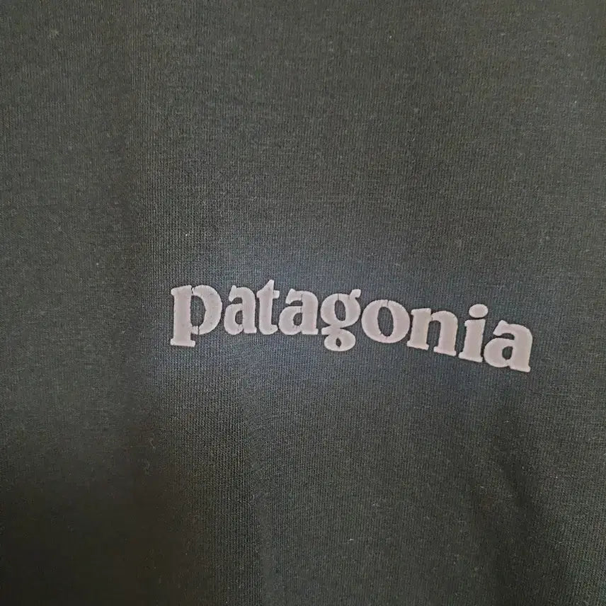 [BUNJANG] Patagonia Black Short Sleeve T-Shirt L / [여성] 파타고니아 블랙 반팔티 L