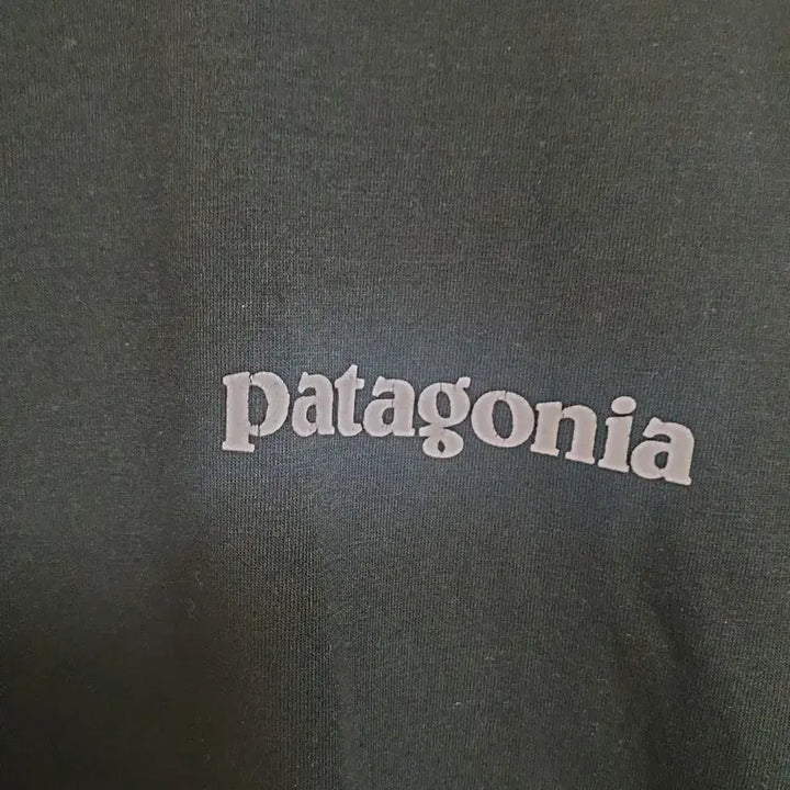 [BUNJANG] Patagonia Black Short Sleeve T-Shirt L / [여성] 파타고니아 블랙 반팔티 L