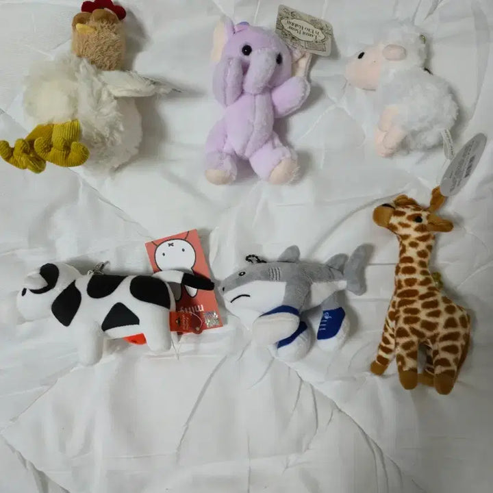 [BUNJANG] Collection of Animal Plush Keychains (Chicken, Elephant, Sheep, Cow, Shark, Giraffe) / 인형 키링 동물인형 모음 (닭/코끼리/양/소/상어/기린)