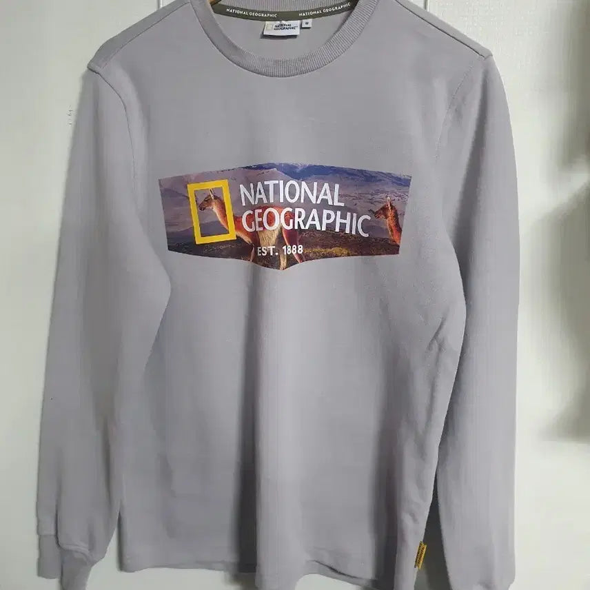 [BUNJANG] National Geographic Crewneck Sweatshirt Medium / 내셔널지오그래픽 맨투맨 95M