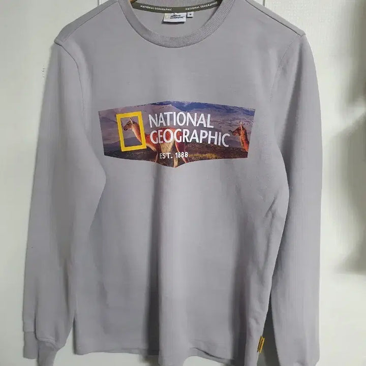 [BUNJANG] National Geographic Crewneck Sweatshirt Medium / 내셔널지오그래픽 맨투맨 95M