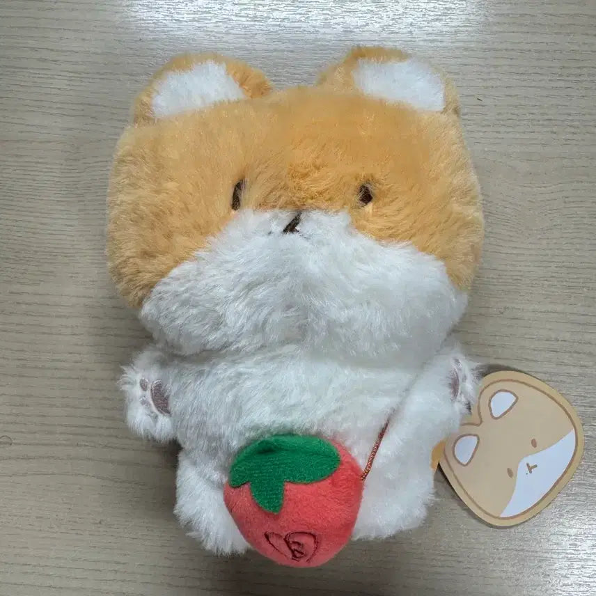 [SOLD OUT] 백현 터래기 20cm 풀박 단순개봉