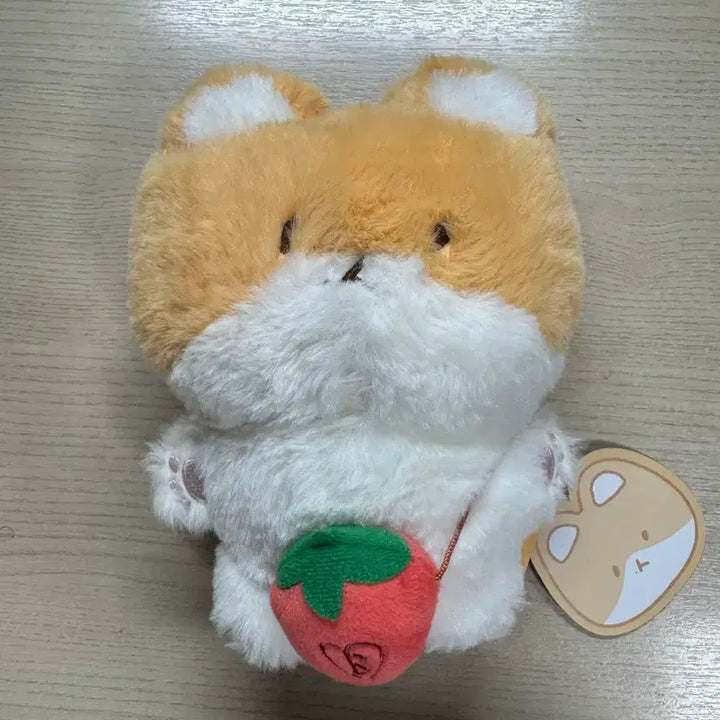 [SOLD OUT] 백현 터래기 20cm 풀박 단순개봉