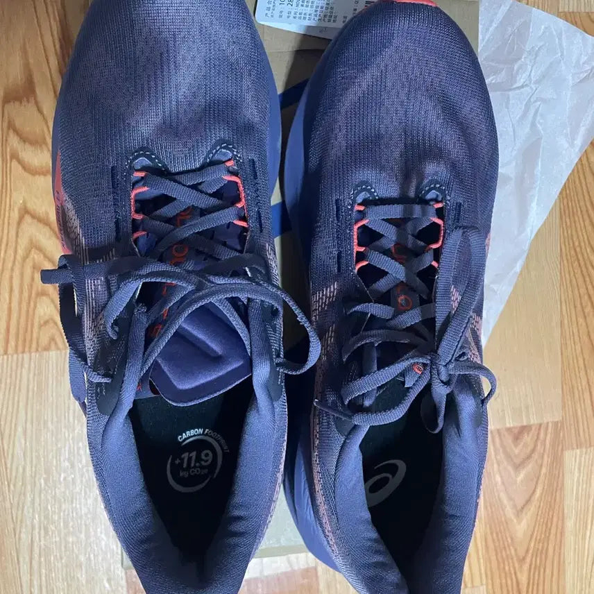 [BUNJANG] Asics NovaBlast 5 Running Shoes (285mm) / 아식스 노바블라스트5 285사이즈 팝니다.
