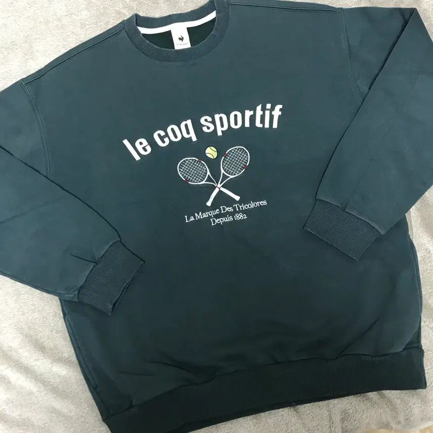 [BUNJANG] Le Coq Sportif Oversized Sweatshirt L / 르꼬끄 스포르티브 오버핏 맨투맨 100(L)