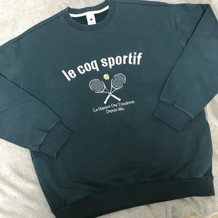 [BUNJANG] Le Coq Sportif Oversized Sweatshirt L / 르꼬끄 스포르티브 오버핏 맨투맨 100(L)