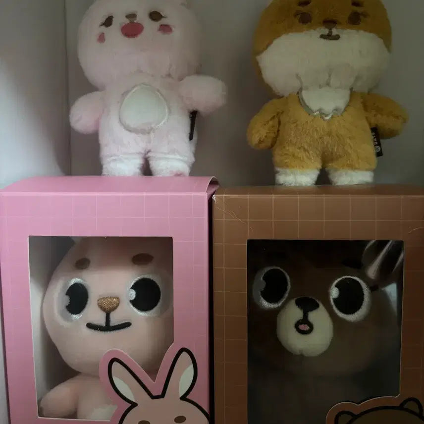 [BUNJANG] DAY6 Bunny Denimals Bang Unsealed Set / 데이식스 인형 데니멀즈 방 필