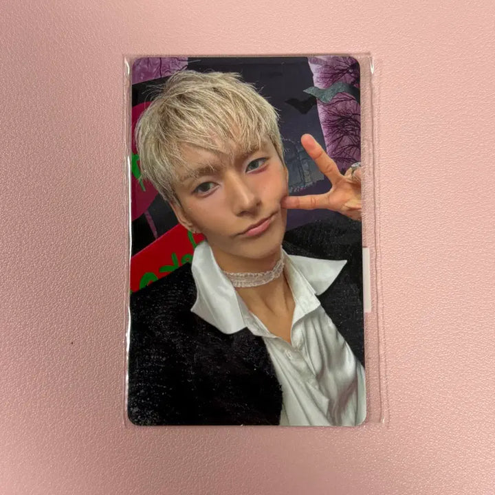 [BUNJANG] Xdinary Heroes Fanmeeting MD Odd Selfie Photocard POB / 엑스디너리히어로즈 엑디즈 팬미팅 엠디 4만원 특전 포카 오드 셀카