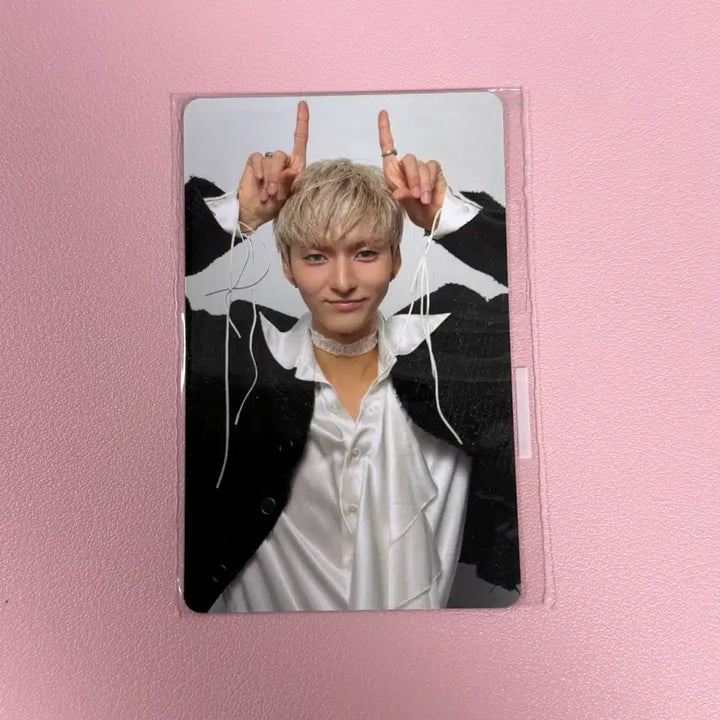 [BUNJANG] XDINARY HEROES Fan Meeting MD Photocard (ODD) / 엑스디너리히어로즈 엑디즈 팬미팅 엠디 4만원 특전 포카 오드 남찍사
