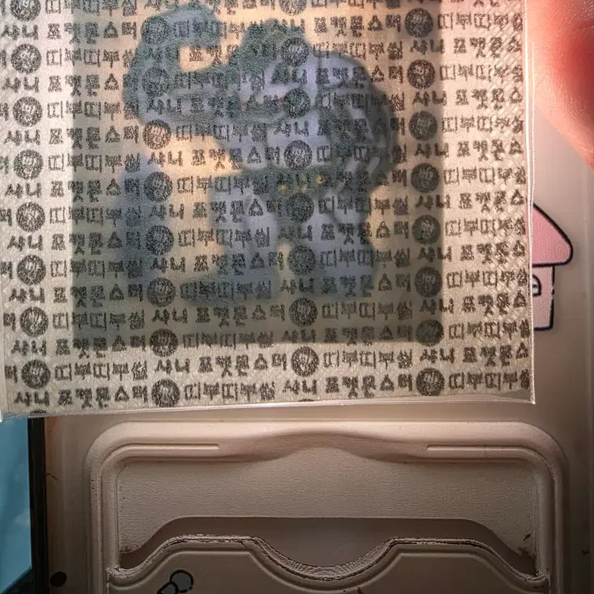 [BUNJANG] Pokemon Sealed Sticker Collection / 포켓몬 띠부씰 구버전 미개봉