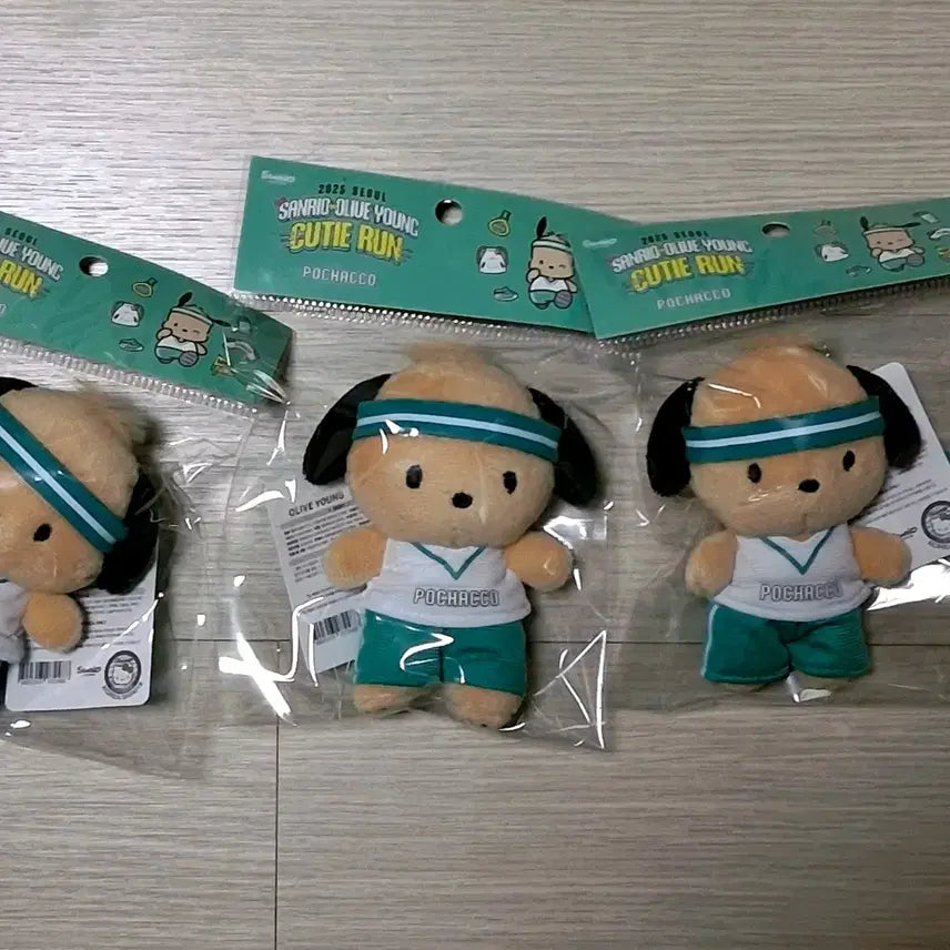 [BUNJANG] Sanrio Pochacco Plush Keychain / 산리오 큐티런 포차코 인형 키링 팝니다!!