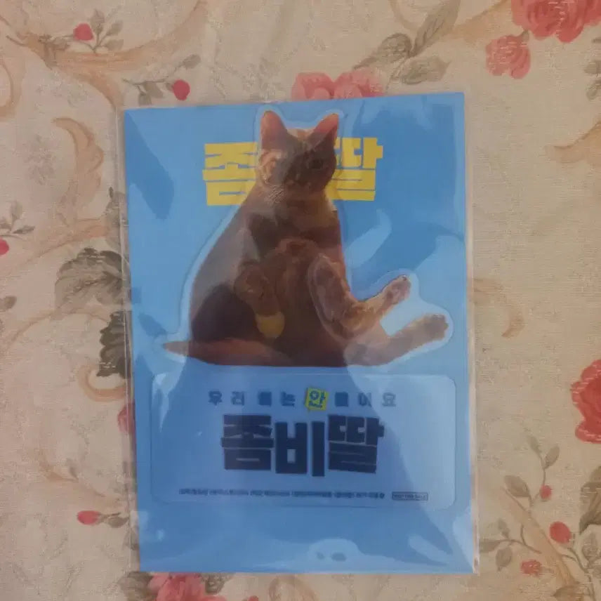 [BUNJANG] Zombie Daughter PET Stand Set / 좀비딸 PET 스탠드