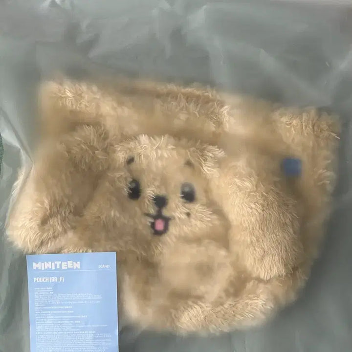 [BUNJANG] SEVENTEEN DK Doa Pouch / 새상품)미니틴 도겸 도아 파우치판매