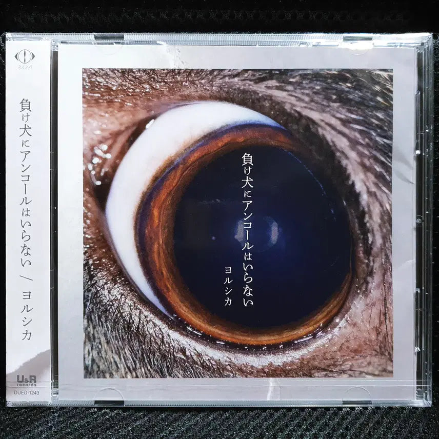 [BUNJANG] Yorushika Loser Need No Encore CD (Sealed) / 요루시카 패배자에게 앵콜은 필요 없어 CD 미개봉 신품