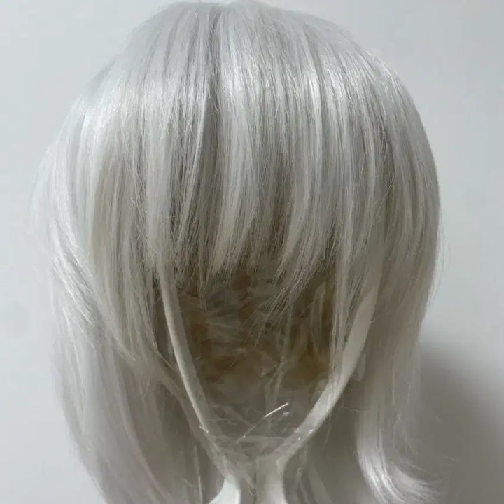 [BUNJANG] Kamisama Kiss Tomoe Cosplay Costume Full Set / 오늘부터 신령님 토모에 코스의상 풀셋