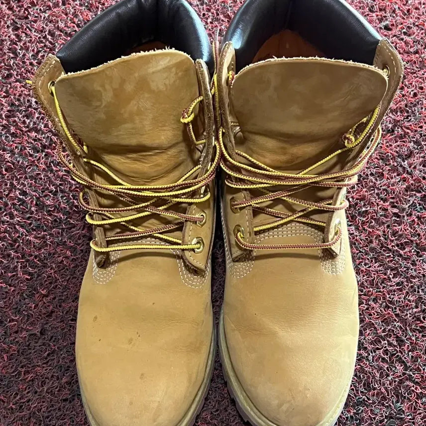 [BUNJANG] Timberland 6-Inch Premium Waterproof Boots 10061 Wheat / 팀버랜드 6인치 프리미엄 워커 10061 부츠 위트