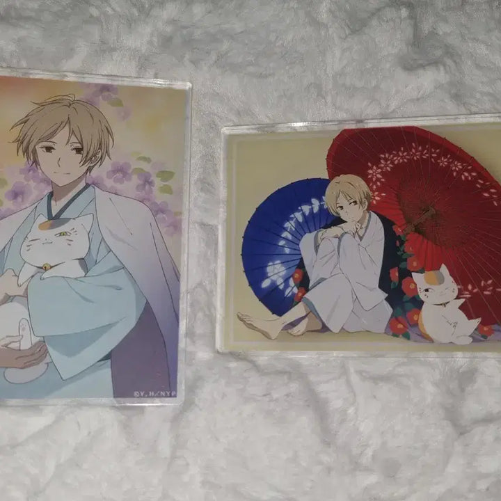 [BUNJANG] Natsume&