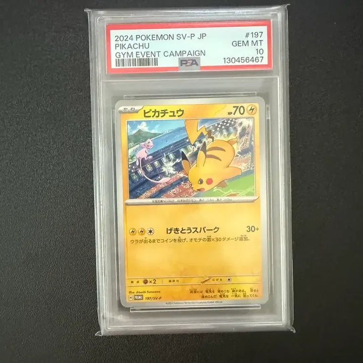 [SOLD OUT] 2024 짐 프로모 피카츄 psa10등급