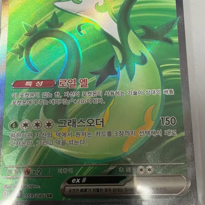 [BUNJANG] Pokemon Serperior EX SR / 포켓몬 샤로다 EX sr