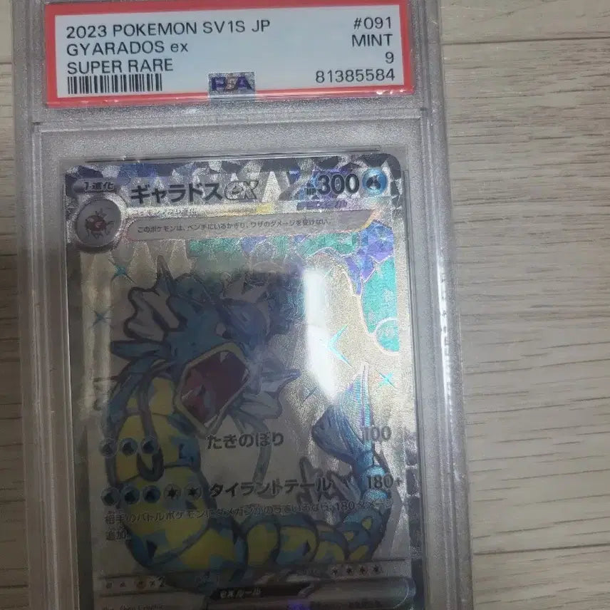 [SOLD OUT] 포켓몬등급카드 일판 갸라도스 psa9
