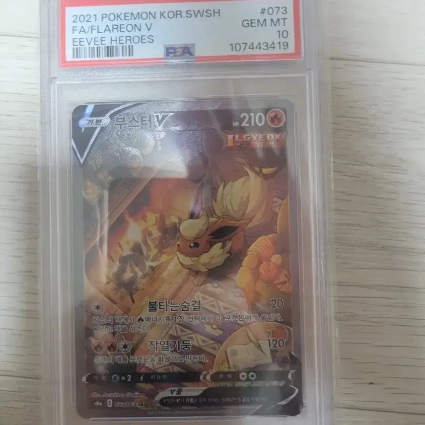 [BUNJANG] Pokemon Booster Special Day PSA 10 Graded Card / 포켓몬등급카드 부스터특일 psa10