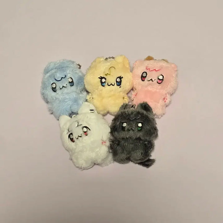 [BUNJANG] PLAVE Ddonggeul Eve 5cm Bundle Set / 플레이브 똥글이브 5cm 일괄