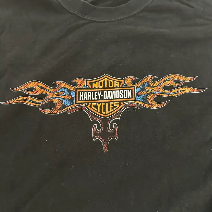 [BUNJANG] Vintage Harley-Davidson Long Sleeve Flame T-Shirt 2XL / 빈티지 할리데이비슨 롱슬리브 플레임 2xl
