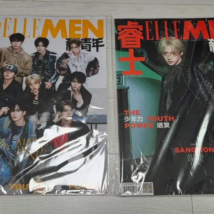 [BUNJANG] ELLE MEN China Magazine AlphaDriveOne Sanwon Version, Group Version Bundle Set / 알파드라이브원 알디원 엘르맨 상원 버전, 단체 버전 일괄양도. 잡지만!!