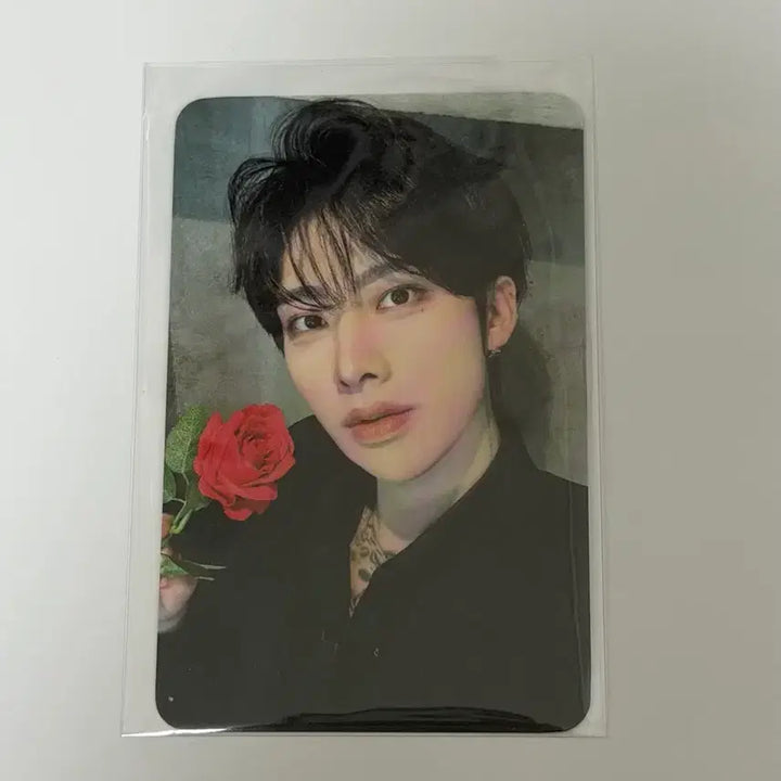 [SOLD OUT] 제베원 앤더블 리키 제로즈존 3일차 포카
