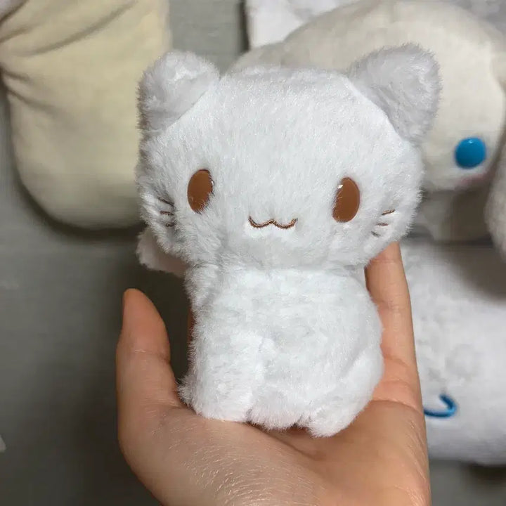 [BUNJANG] Sanrio Cinnamoroll Shirotalo Plush / 산리오 시나모롤 고양이 시로타로