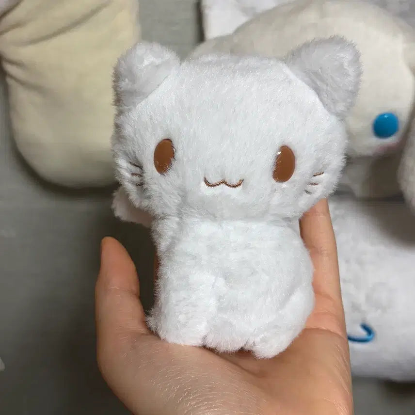 [BUNJANG] Sanrio Cinnamoroll Shirotalo Plush / 산리오 시나모롤 고양이 시로타로