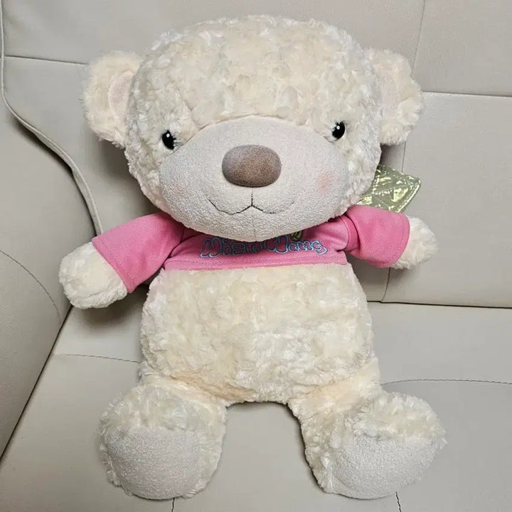 [BUNJANG] Aurora World Wish Wings 45cm Doll / 고전 인형 오로라월드 위시윙 45cm 인형