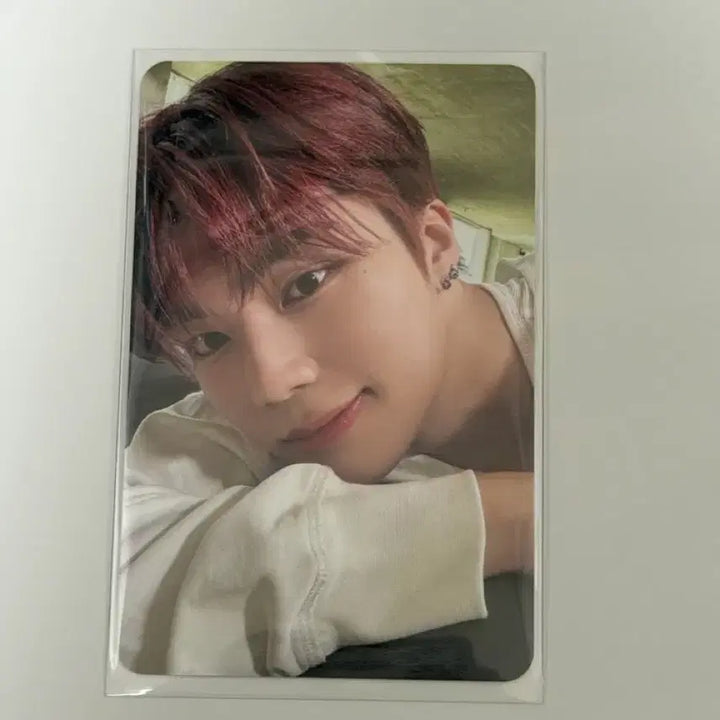 [BUNJANG] ZEROBASEONE Park Gunwook NEVER SAY NEVER Photocard / 제로베이스원 박건욱 NEVER SAY NEVER 포카