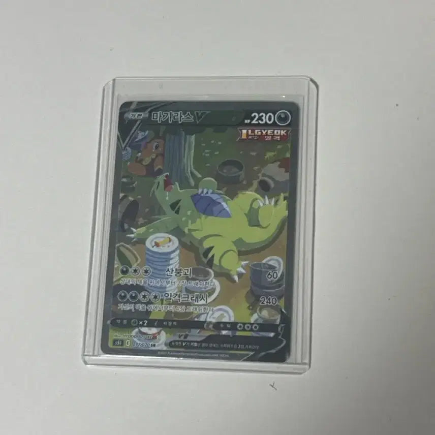 [BUNJANG] Groudon V Special Illustration Rare Card / 마기라스v 특일 싸게팔아요