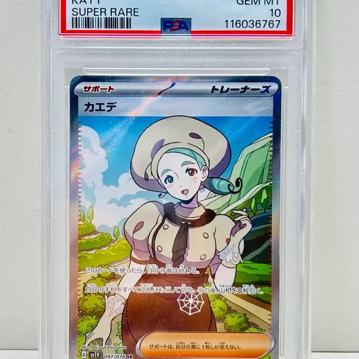 [BUNJANG] Pokemon Card Scarlet &amp; Violet Sv1v Maple SR PSA 10 / 일판 포켓몬카드 sv1v 바이올렛 단풍 sr psa10 판매합니다