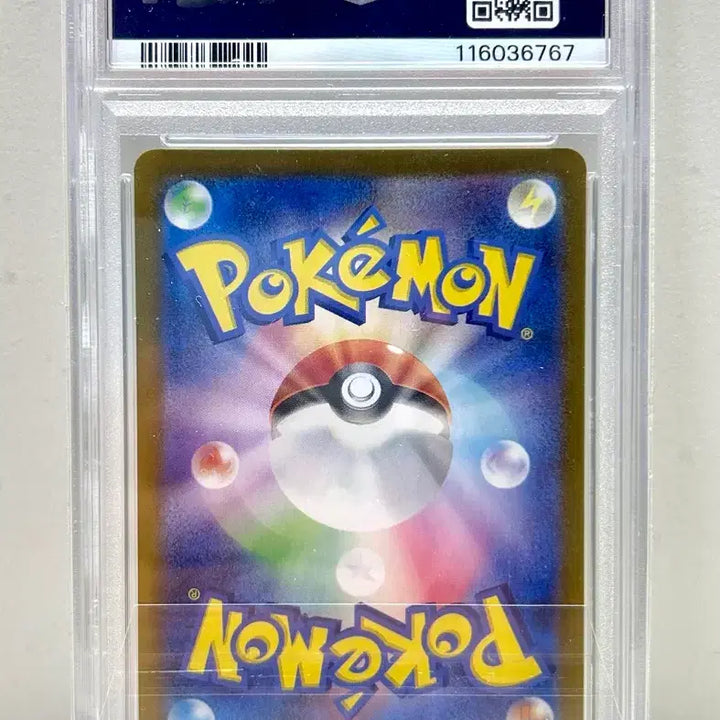 [BUNJANG] Pokemon Card Scarlet &amp; Violet Sv1v Maple SR PSA 10 / 일판 포켓몬카드 sv1v 바이올렛 단풍 sr psa10 판매합니다