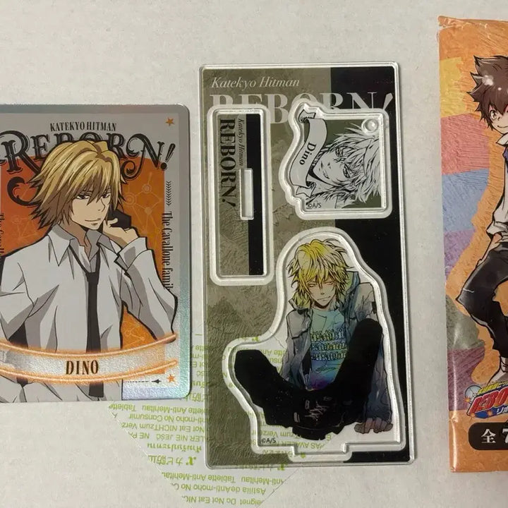 [BUNJANG] Katekyo Hitman Reborn! Dino Acrylic Stand &amp; Cards Bundle Set / 가히리 가정교사 히트맨 리본 디노 아크릴 &amp; 카드 굿즈 일괄