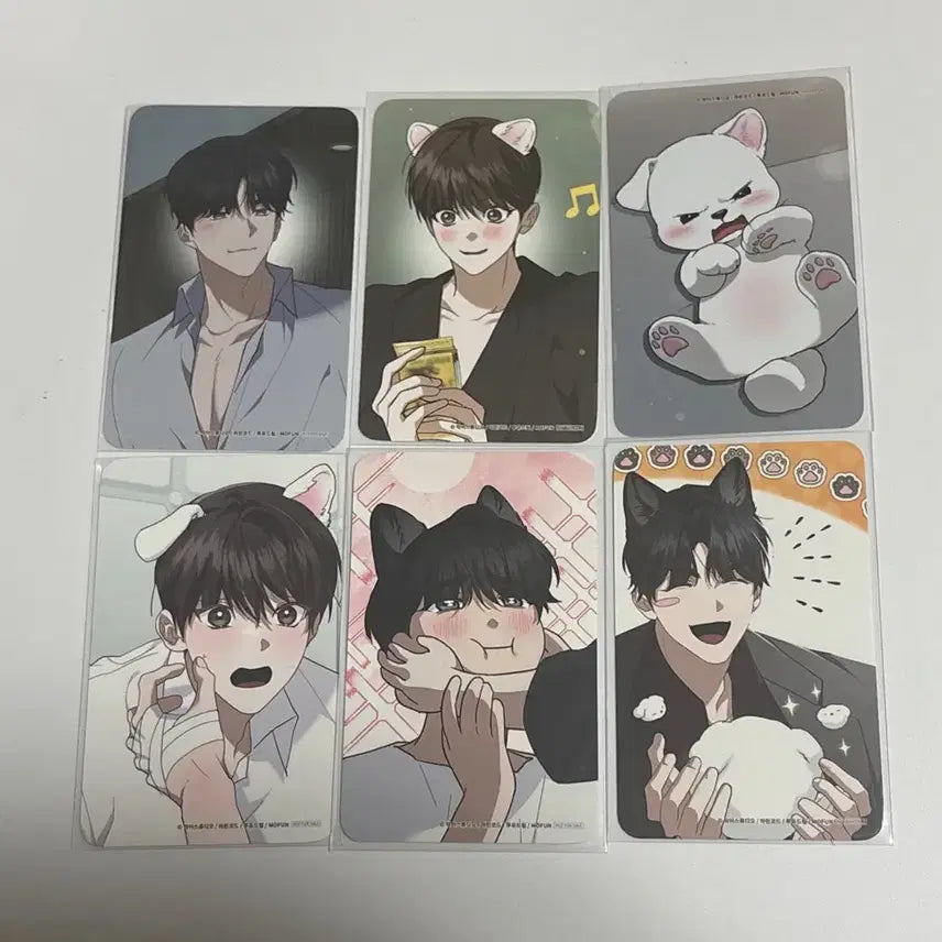 [BUNJANG] MoFun KangGunMa Visit Photocard Bundle Set / 일괄) 모펀 강아지는 건드리지 마라 강건마 방포 방문 포카