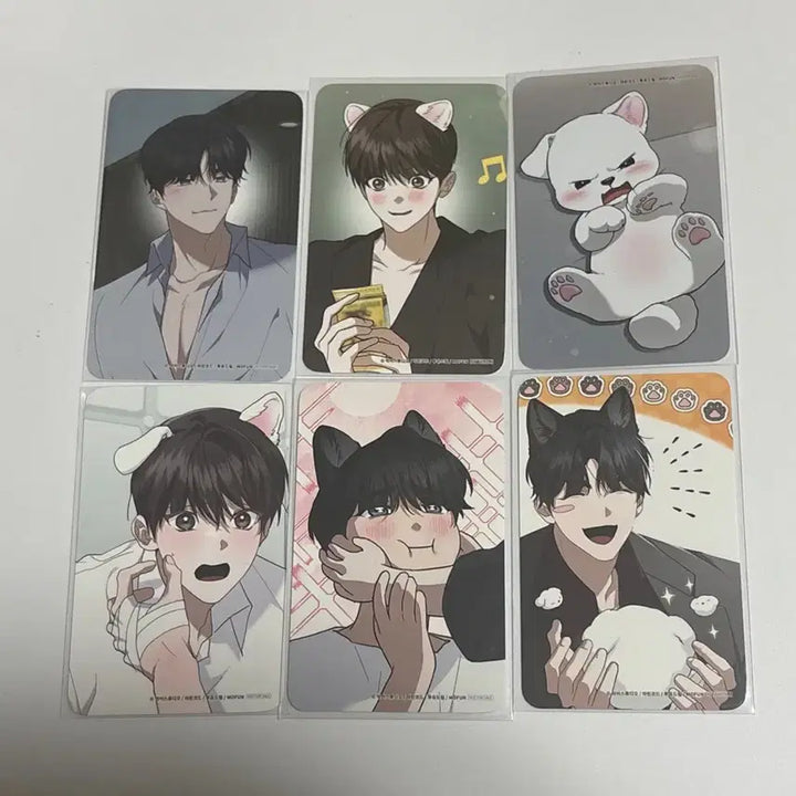 [BUNJANG] MoFun KangGunMa Visit Photocard Bundle Set / 일괄) 모펀 강아지는 건드리지 마라 강건마 방포 방문 포카