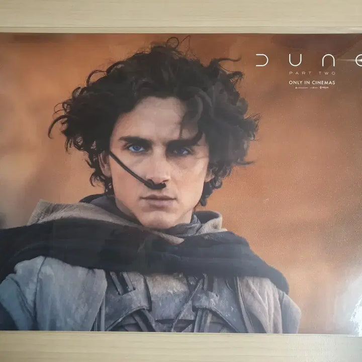 [BUNJANG] Dune: Part Two Paul Atreides Spice Movie Poster / 듄 파트 2 폴 스파이스 영화 포스터