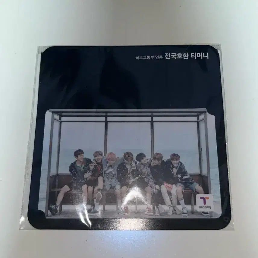 [BUNJANG] BTS Spring Day Group T-Money Transportation Card / 방탄소년단 BTS 봄날 단체 티머니 교통카드