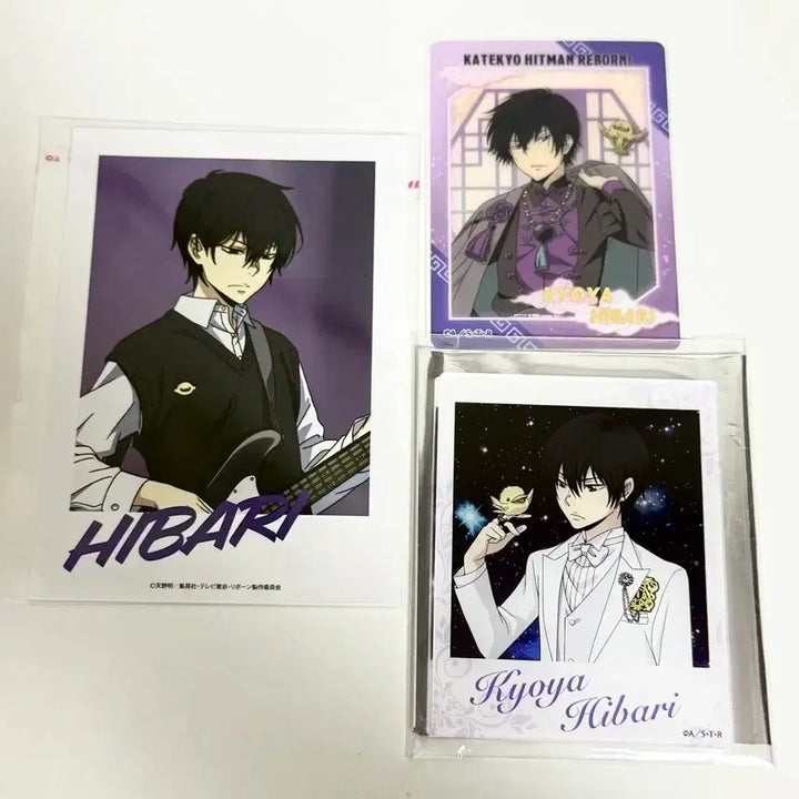 [BUNJANG] KHR Sawada Tsunayoshi Stuffed Doll Bundle Set / (일괄)가히리 가정교사히트맨 리본 27 사와다 츠나요시 누이 인형
