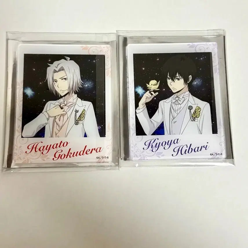 [BUNJANG] Katekyo Hitman Reborn! Hayato Gokudera Bundle Set / 가히리 가정교사히트맨리본 고쿠데라 하야토 일괄